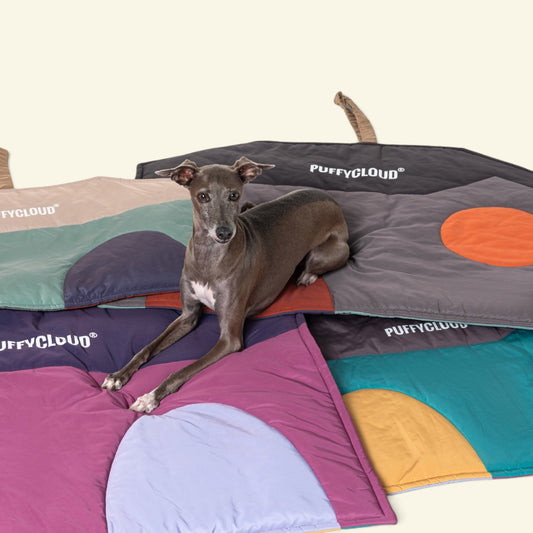 close-up of a grey dog lying across overlapping house-shaped travel mats in rose pink, slate green and caramel brown