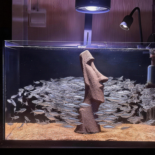 the moai figurine among aquarium gravel under warm tank lighting, uggaz