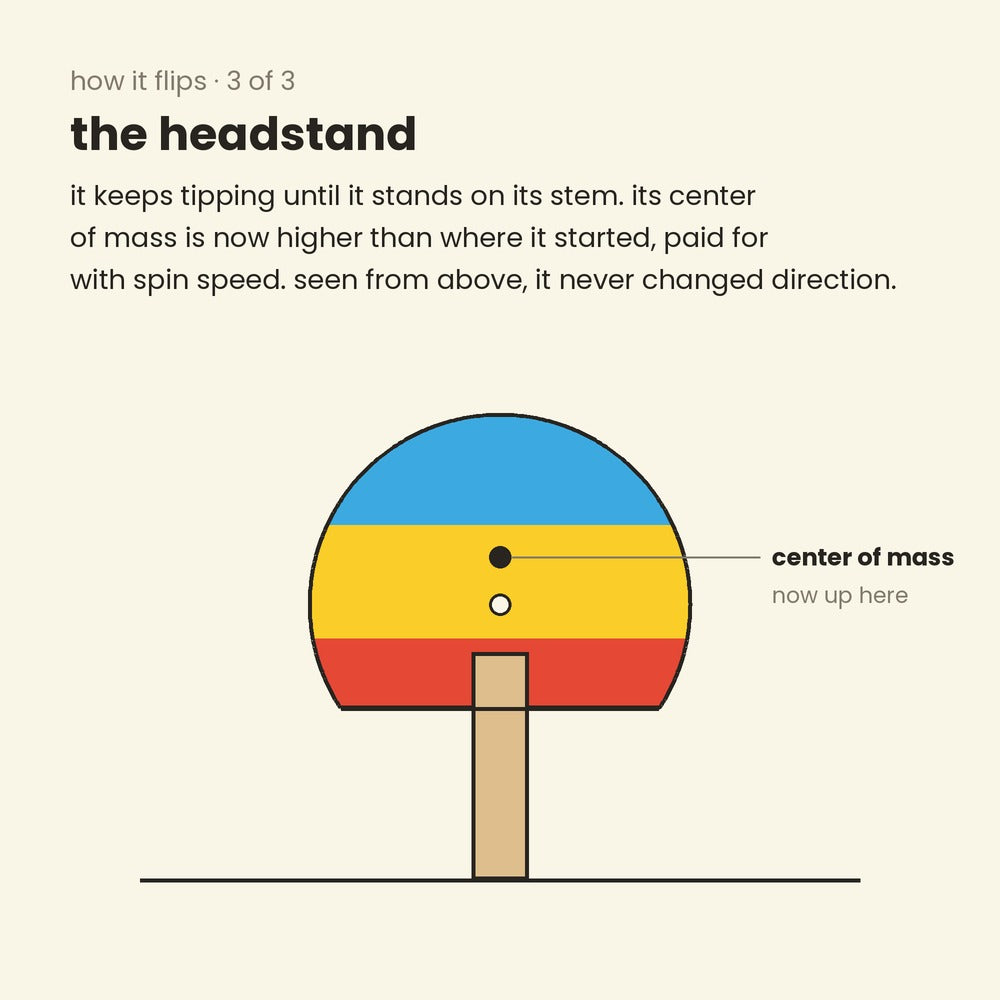 diagram, how a tippe top flips, step 3: the top standing upside down on its stem, center of mass now higher than where it started