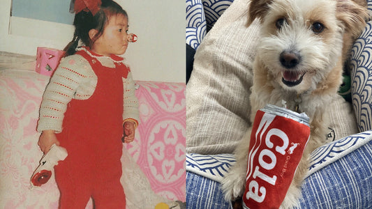 Left: a childhood photograph of UggaZ's founder at about two years old, in red overalls, holding a toy. Right: Kele, a ten-year-old poodle mix, sitting up with a plush cola-can toy in his mouth.