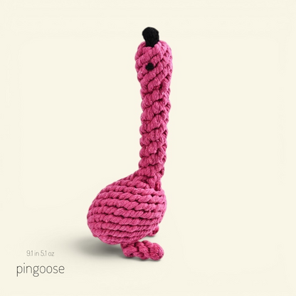 The Knot Zoo