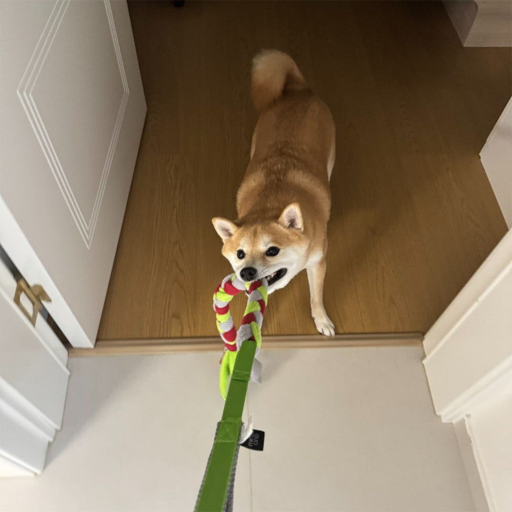 tan dog holding the UggaZ fleece tug rope indoors