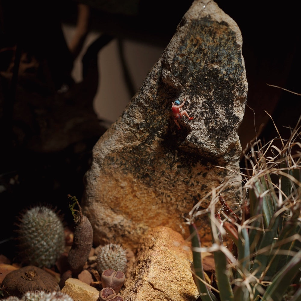 the blue helmet climber, a tiny 1:64 figure, clinging to a real rock among small cacti and succulents, showing how small she is