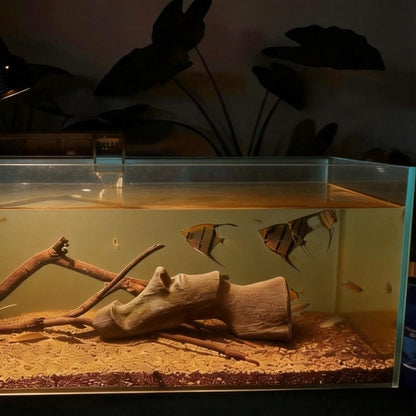 the moai figurines on a shelf near an aquarium with fish, uggaz