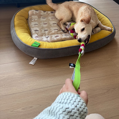 dog tugging the UggaZ fleece rope toy on a dog bed with owner's hand holding the other end