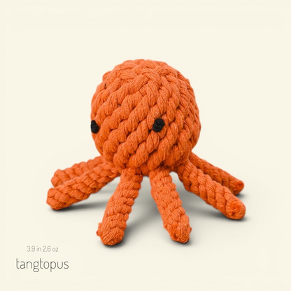 The Knot Zoo