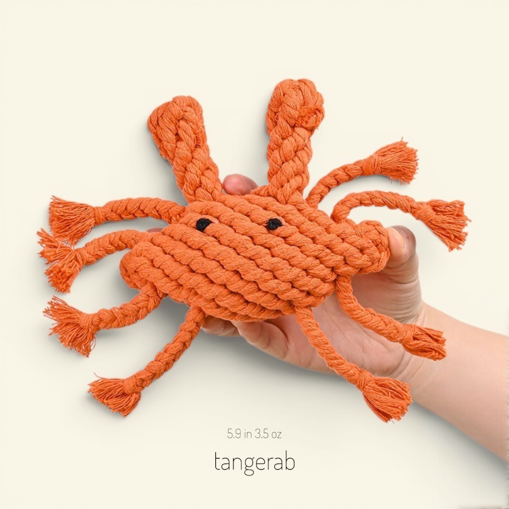The Knot Zoo