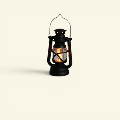 The Tiny Lantern