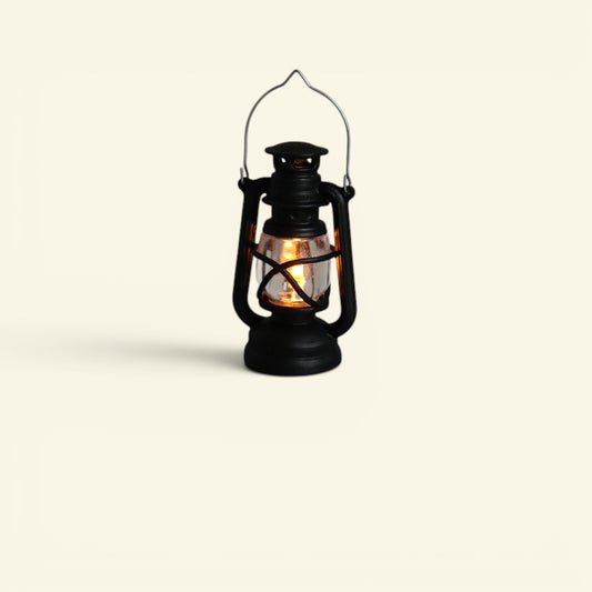 The Tiny Lantern