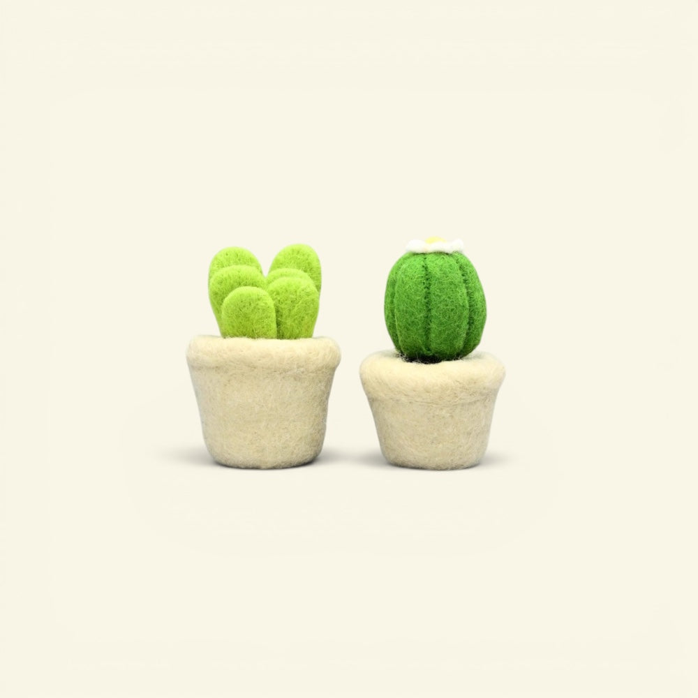 wool felt succulent ornament detail — hand-needled cactus texture