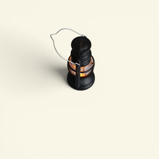 The Tiny Lantern