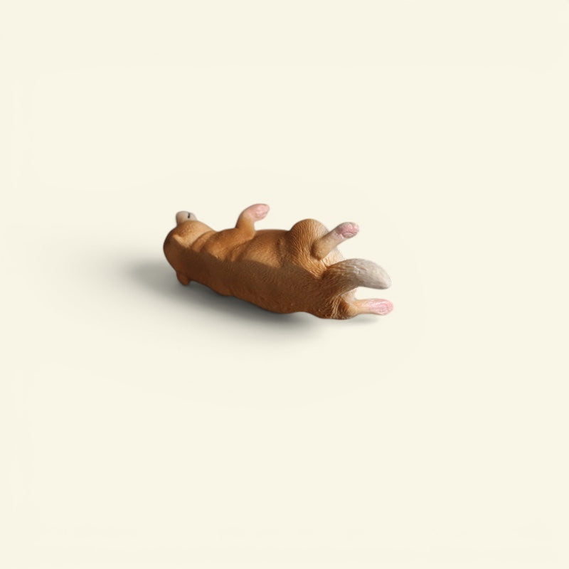 The Lying Flat Dog