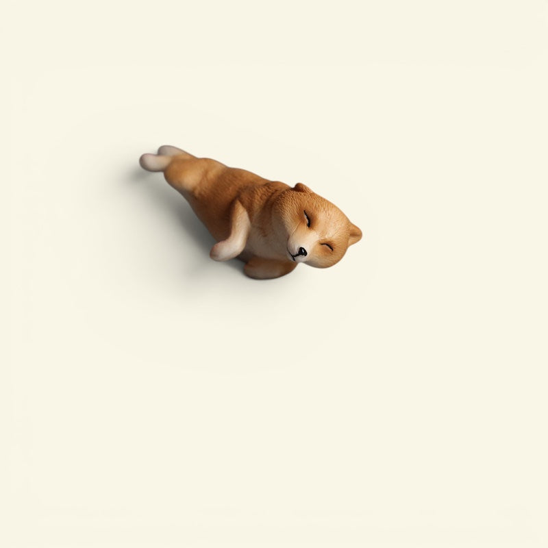 The Lying Flat Dog