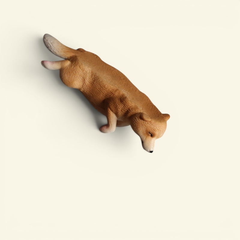 The Lying Flat Dog