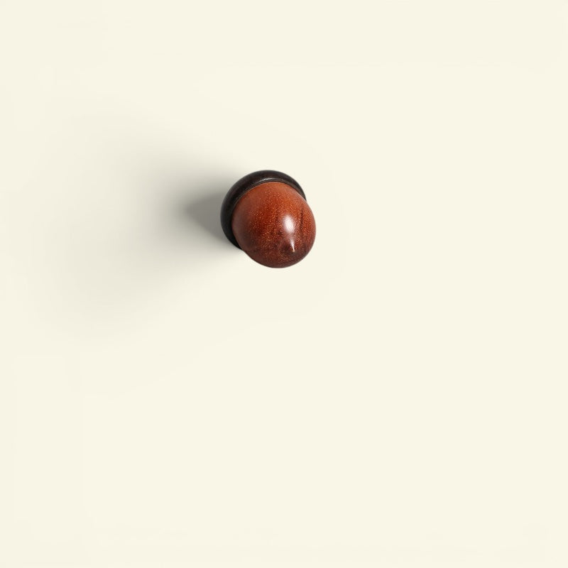 The Secret Acorn