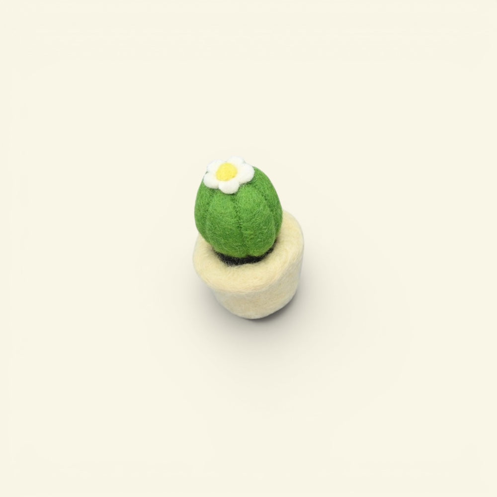 felt succulent ornament, about 4.3 inches tall — handmade in nepal, display piece