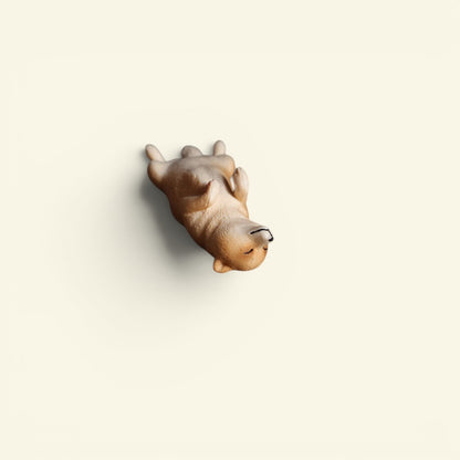 The Lying Flat Dog