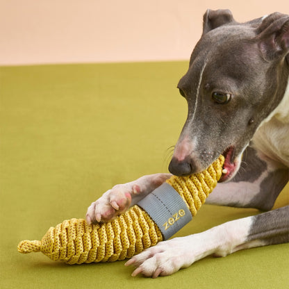 Dog holding The Knot Harvest banana rope toy