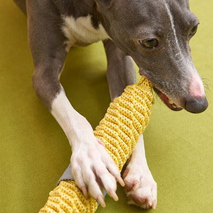 Dog chewing The Knot Harvest banana rope toy