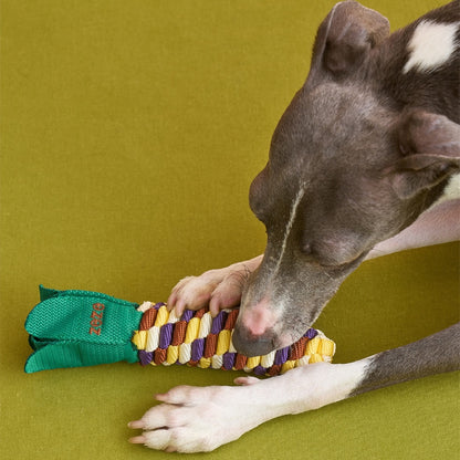 Dog chewing The Knot Harvest corn rope toy
