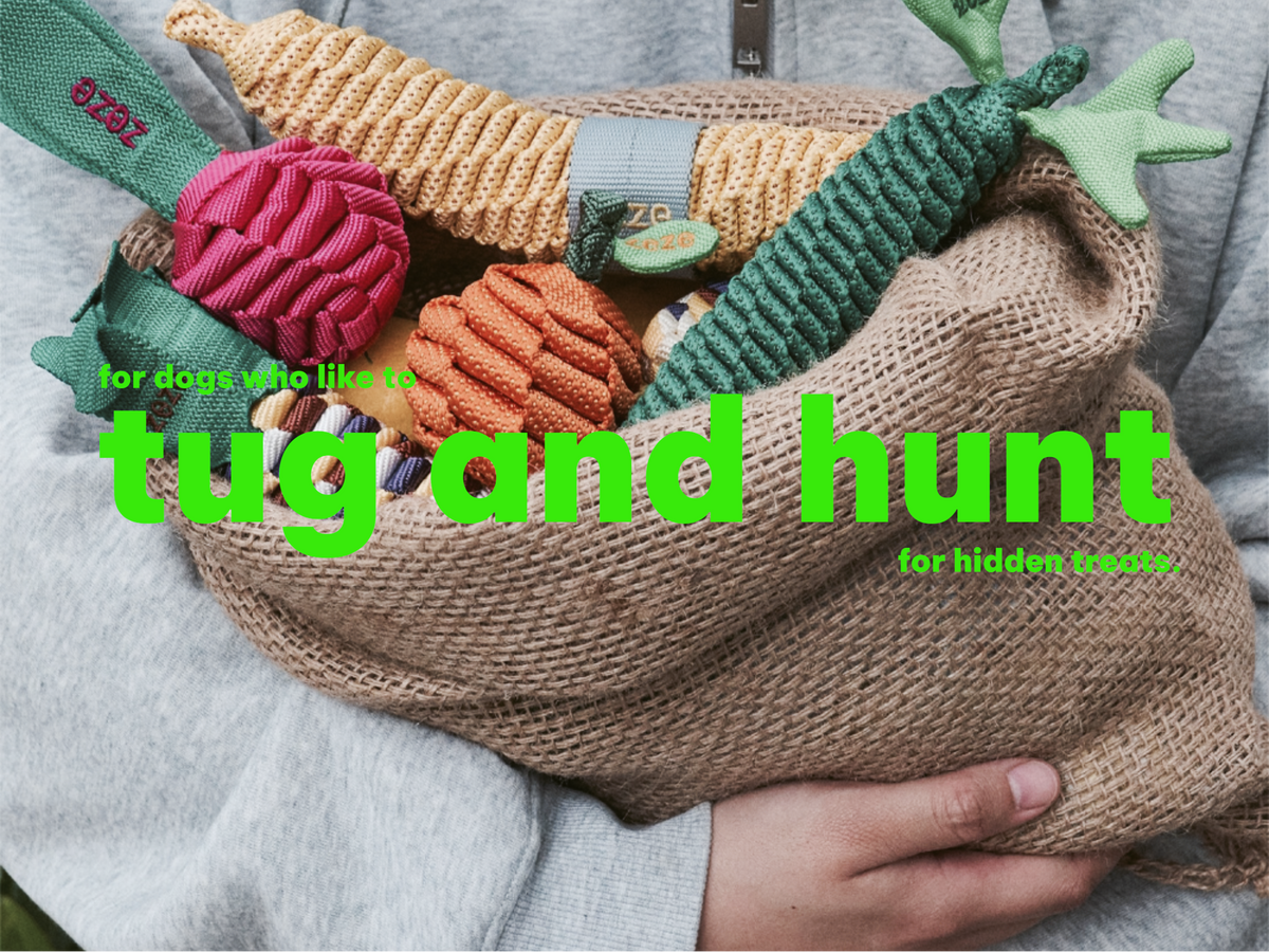A person in a grey sweatshirt cradling a burlap sack filled with braided rope fruit and vegetable dog toys, with bright green text overlay reading 'for dogs who like to tug and hunt for hidden treats'.