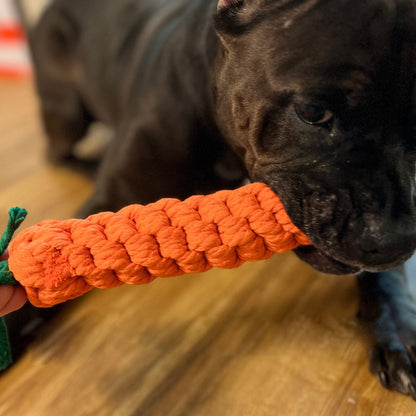 The Knot Carrot