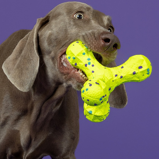 the popcorn tumbler – etpu foam wobble dog toy, detail 1, uggaz