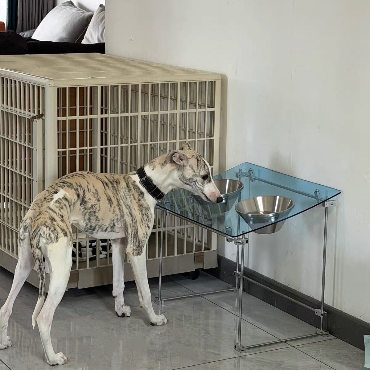 THE OPTICAL AXIS PET FEEDER STATION