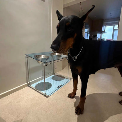 THE OPTICAL AXIS PET FEEDER STATION