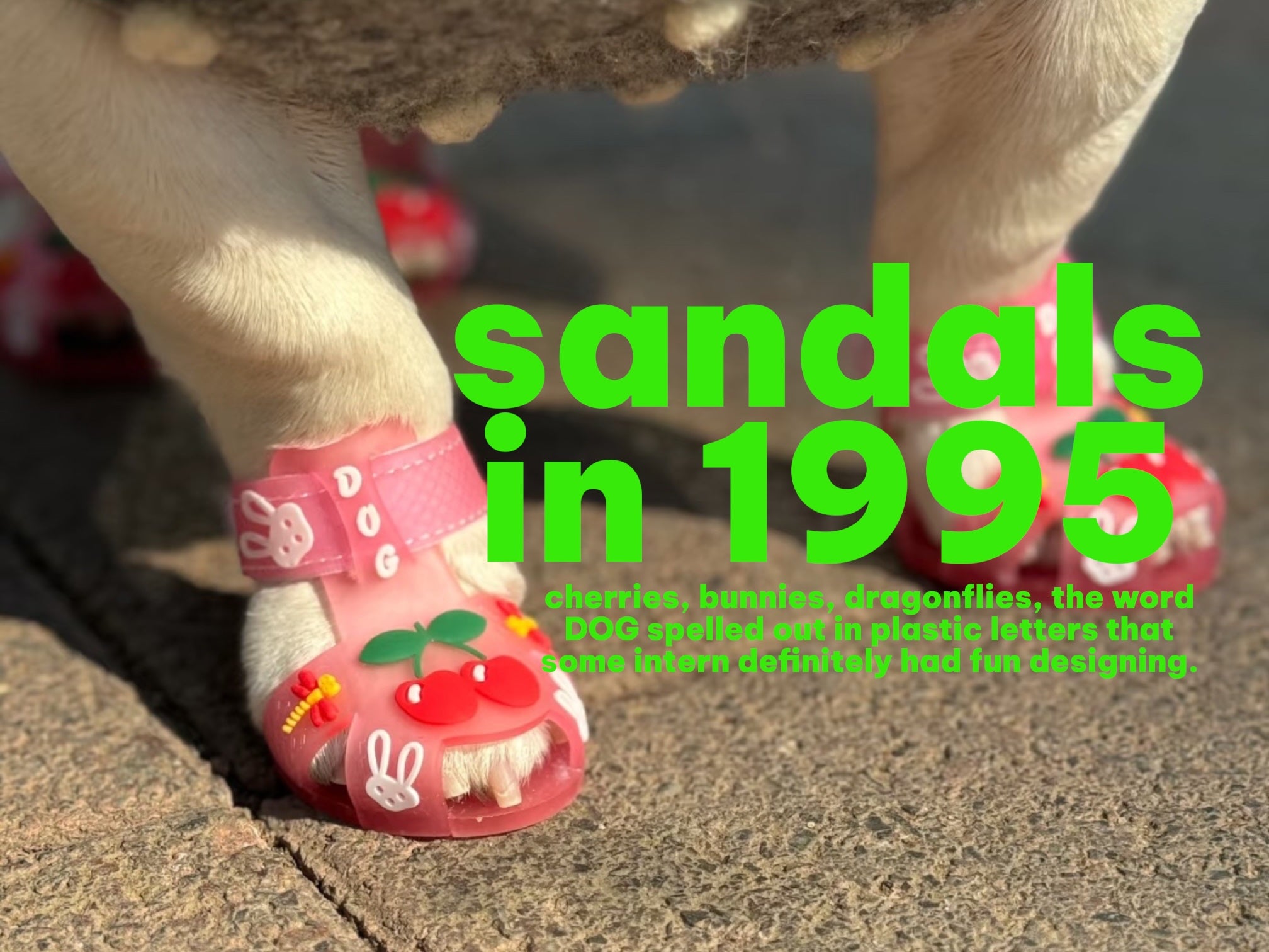 A close-up of a dog's front paws wearing pink novelty sandals decorated with cherries, bunnies, and the word 'DOG', with bright green text overlay reading 'sandals in 1995' on a stone surface.