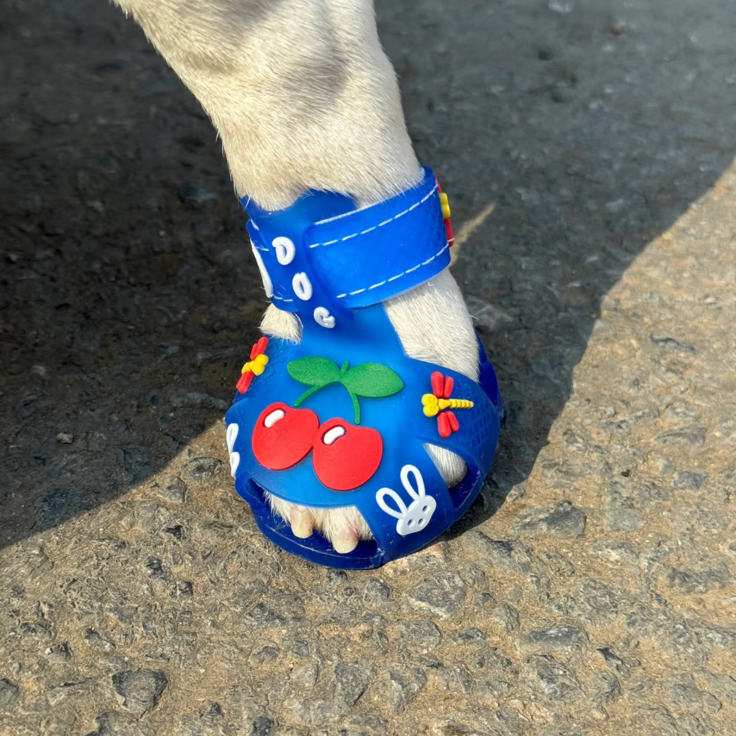 The Cherry Jellies