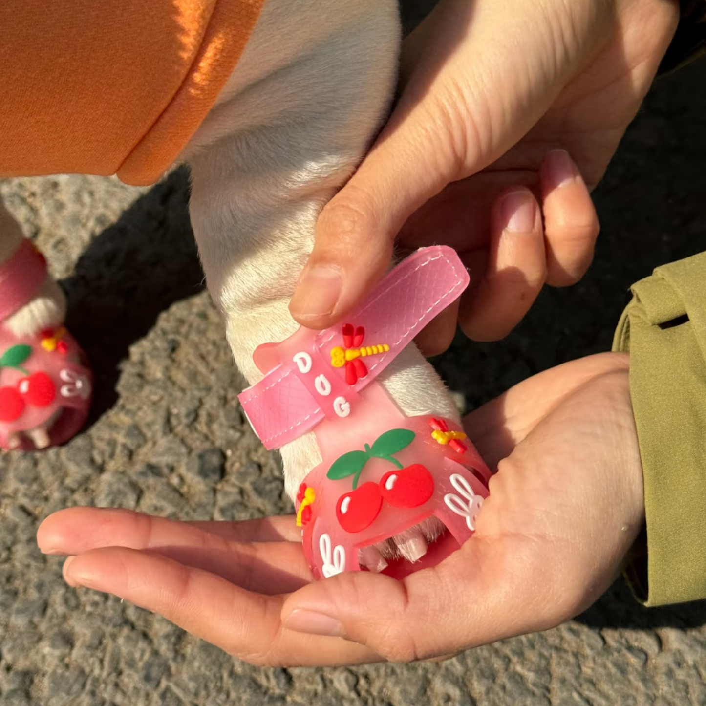The Cherry Jellies