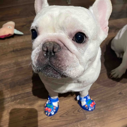 The Cherry Jellies