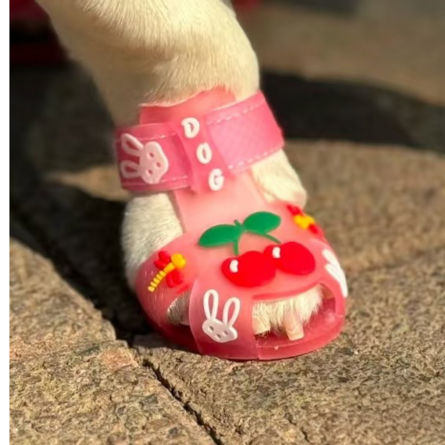 The Cherry Jellies