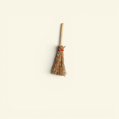 the tiny broom