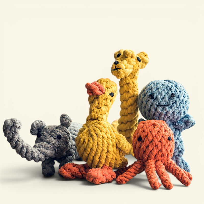 The Knot Zoo