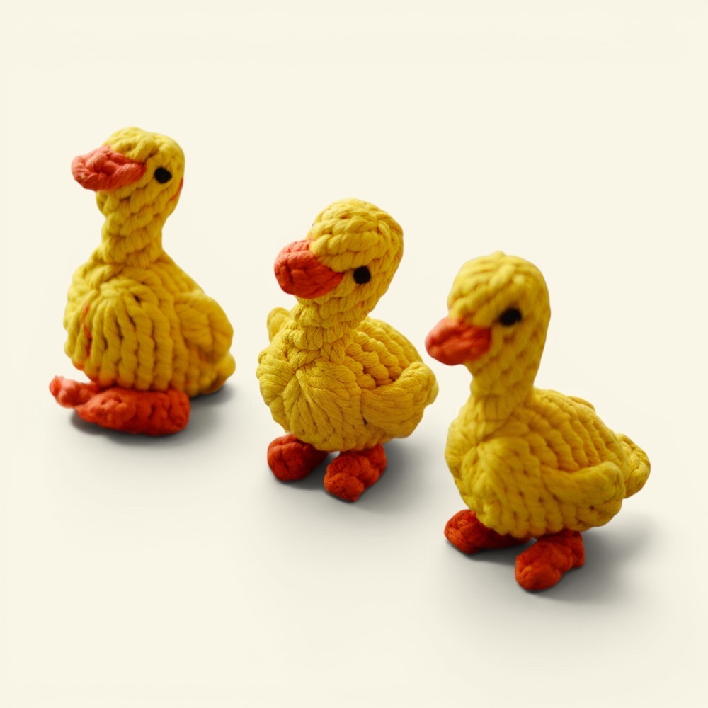 The Knot Zoo