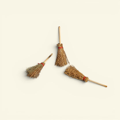 the tiny broom