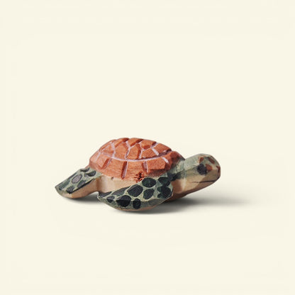 The Wood Turtle