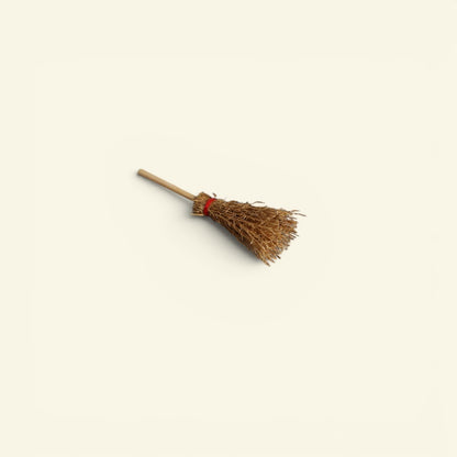 the tiny broom