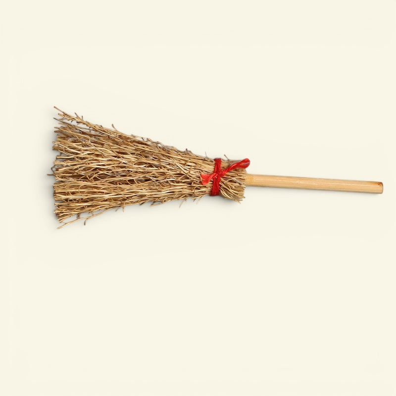 the tiny broom