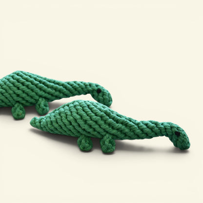The Knot Zoo