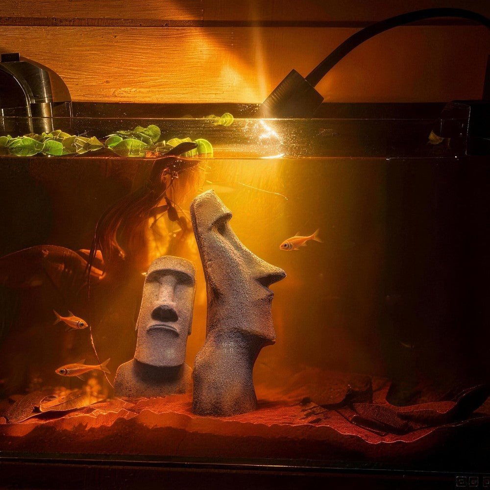 the moai figurine in a tank under an overhead aquarium light, uggaz