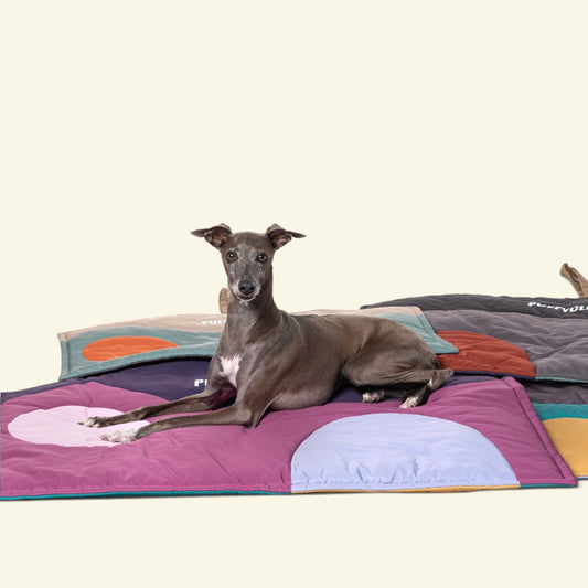 a slim grey dog lying on the rose pink side of the roll-up house travel mat, with more mats in other colors behind it