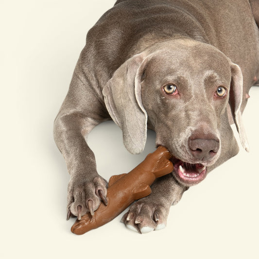 the sardine – natural pine wood chew dog toy, detail 1, uggaz
