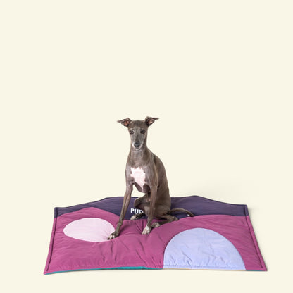 a grey dog sitting on the rose pink and crimson purple side of the travel mat