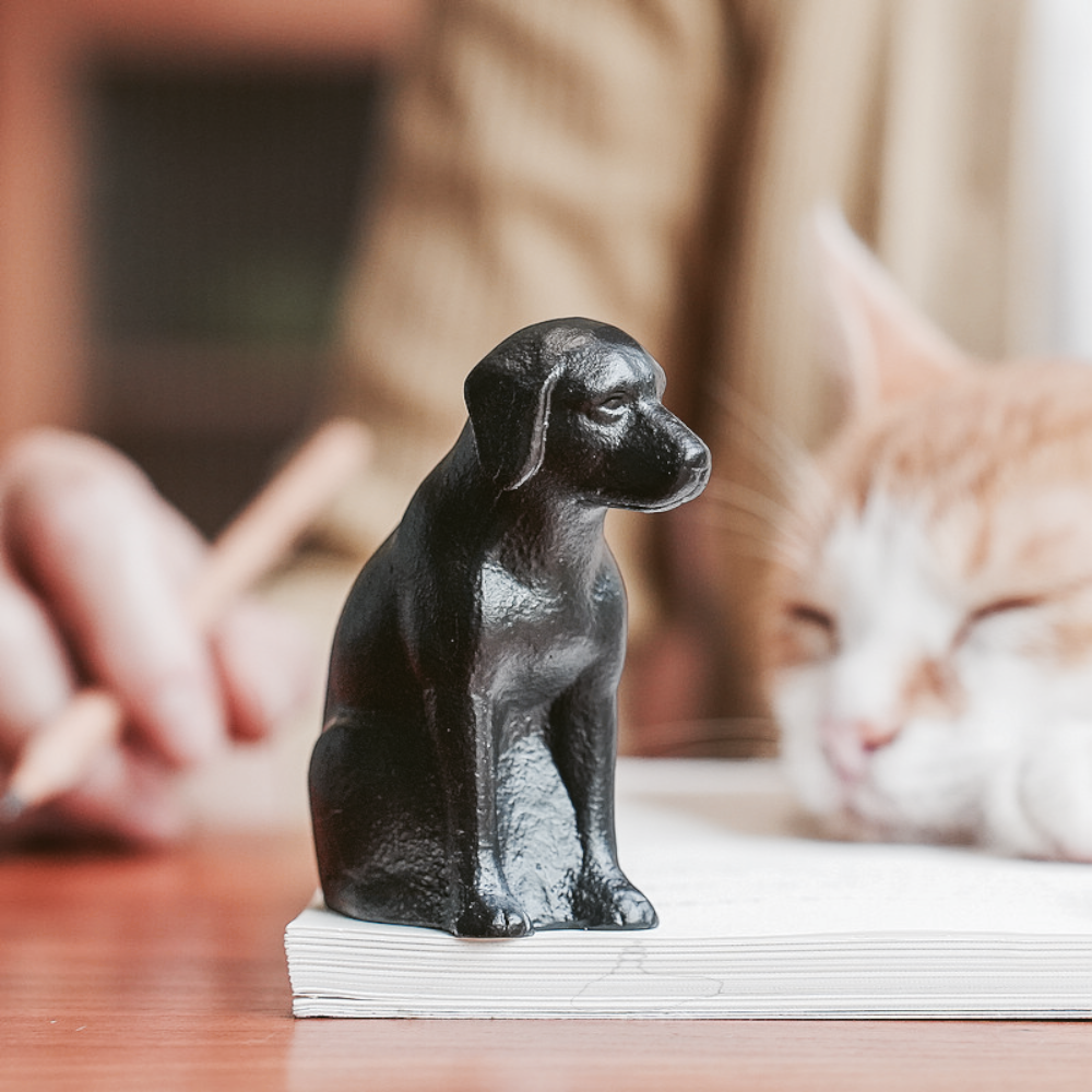 the family dog – cast iron nanbu ironware paperweight, detail 2, uggaz