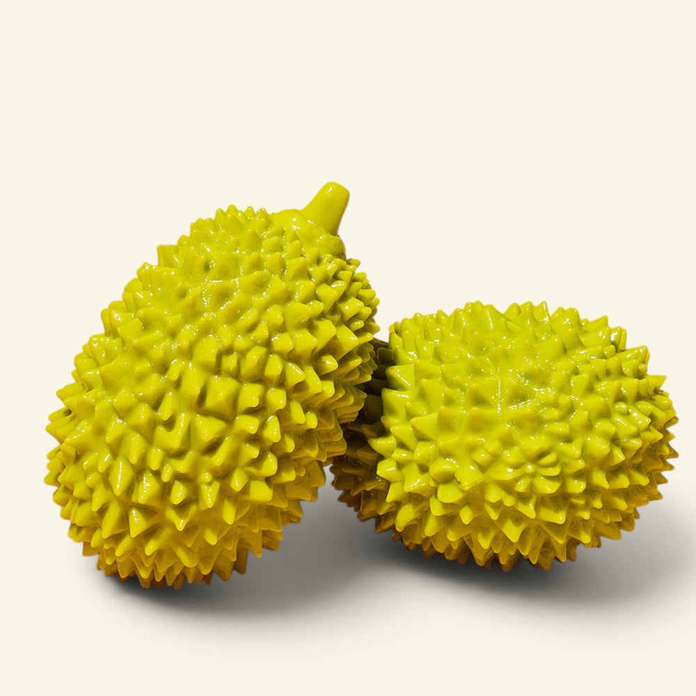 the durian – floating tpr chew dog toy, uggaz