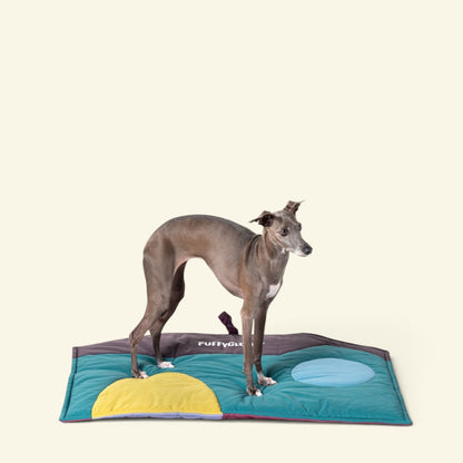 a grey dog standing on the slate green side of the rose & slate mat, with a yellow arch and a blue circle