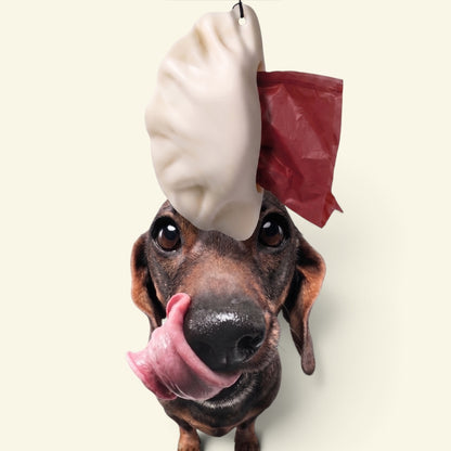 dachshund licking its lips looking up at the dumpling poop bag dispenser hanging overhead